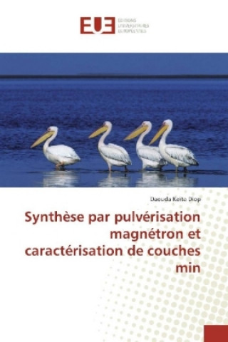 Libro Synthèse par pulvérisation magnétron et caractérisation de couches min Daouda Keïta Diop