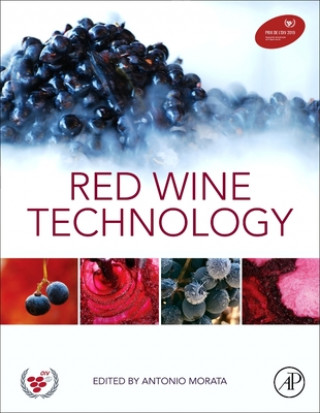 Kniha Red Wine Technology Antonio Morata