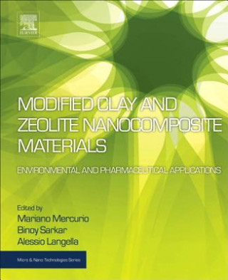 Könyv Modified Clay and Zeolite Nanocomposite Materials Mariano Mercurio