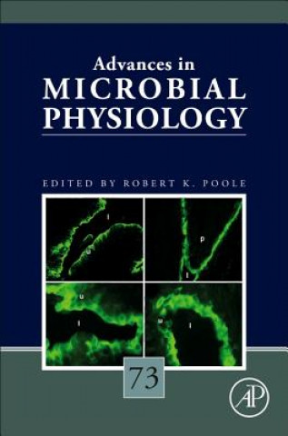 Book Advances in Microbial Physiology Robert Poole