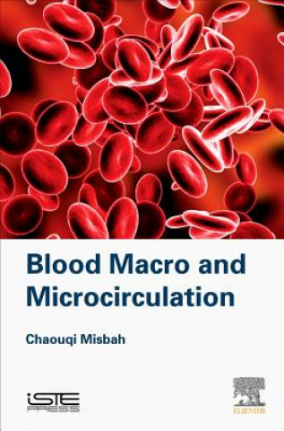 Kniha Blood Macro- and Microcirculation Chaouqi Misbah
