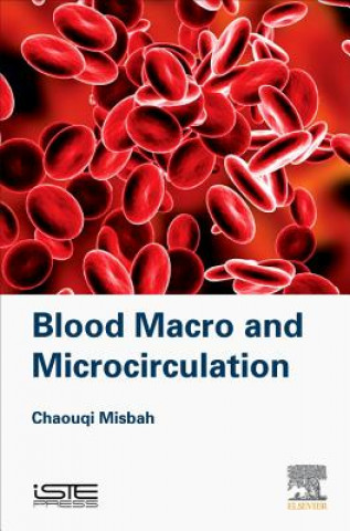 Carte Blood Macro- and Microcirculation Chaouqi Misbah