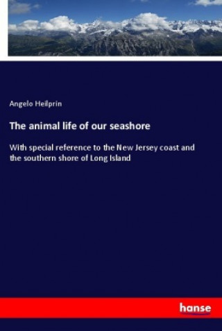 Kniha The animal life of our seashore Angelo Heilprin