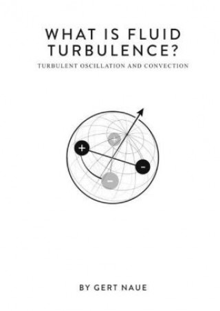 Carte What Is Fluid Turbulence? Gert Naue