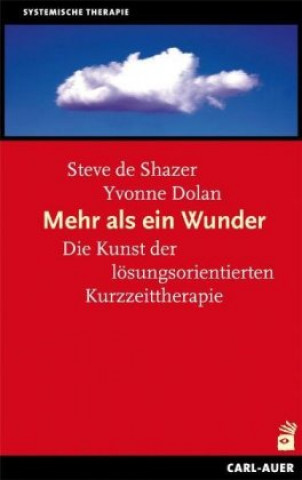 Knjiga Mehr als ein Wunder Steve de Shazer