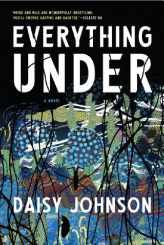 Kniha Everything Under DAISY JOHNSON