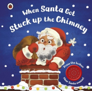 Könyv When Santa Got Stuck up the Chimney Nanette Regan