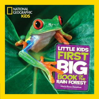 Kniha National Geographic Little Kids First Big Book of the Rain Forest Moira Rose Donohue