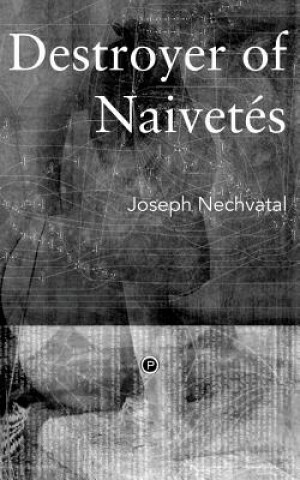 Kniha Destroyer of Naivetés Joseph Nechvatal