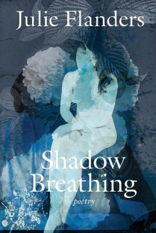 Book Shadow Breathing Julie Flanders