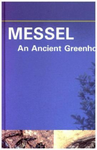 Kniha MESSEL - An Ancient Greenhouse Ecosystem Krister T. Smith