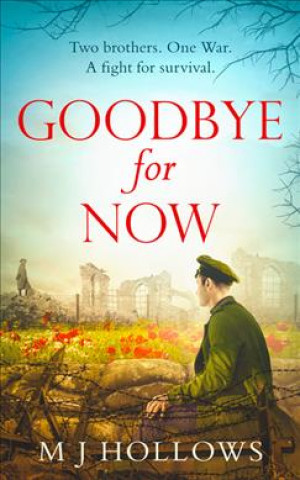 Book Goodbye for Now M.J. Hollows