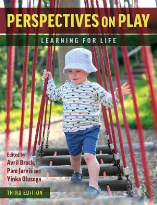Buch Perspectives on Play Avril Brock
