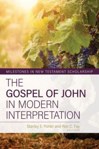 Buch Gospel of John in Modern Interpretation Ron Fay