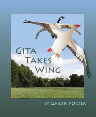 Knjiga Gita Takes Wing Gailyn Porter