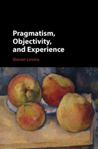 Könyv Pragmatism, Objectivity, and Experience Levine