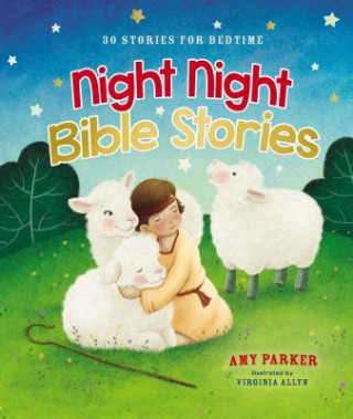 Kniha Night Night Bible Stories Amy Parker