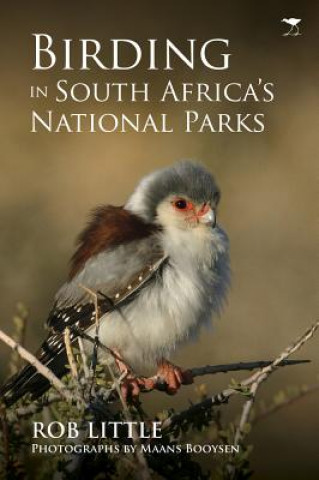Book Birding in South Africa's national parks Rob Little