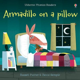 Carte Armadillo on a pillow Russell Punter