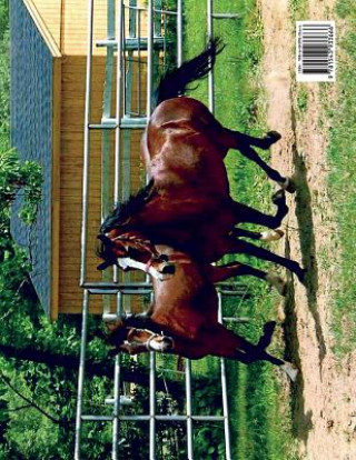 Kniha Lippitt Morgan Horse Rachel Lonergan