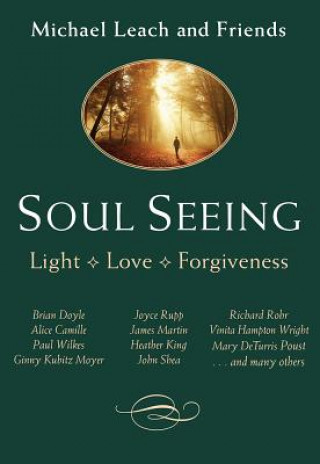 Kniha Soul Seeing Michael Leach