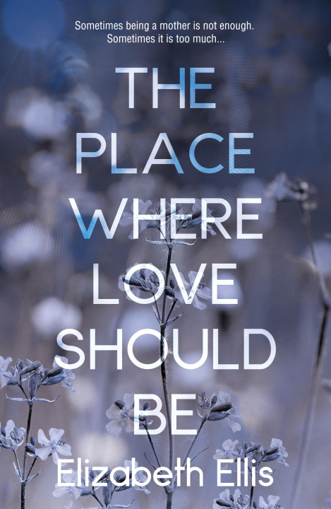 Kniha Place Where Love Should Be Elizabeth Ellis