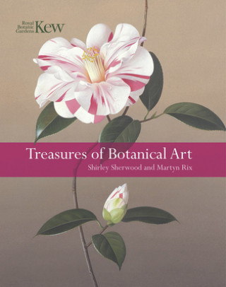 Kniha Treasures of Botanical Art Shirley Sherwood