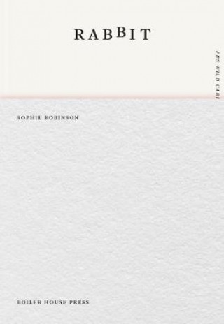 Kniha Rabbit Sophie Robinson