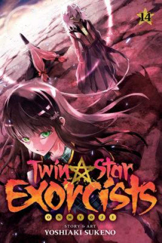 Kniha Twin Star Exorcists, Vol. 14 Yoshiaki Sukeno