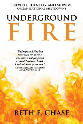 Carte Underground Fire: Prevent, Identify and Survive Organizational Meltdowns Beth E Chase