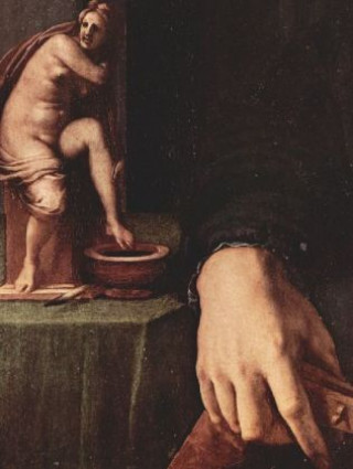 Játék Angelo Bronzino - Porträt eines jungen Mannes mit Laute, Detail - 500 Teile (Puzzle) 