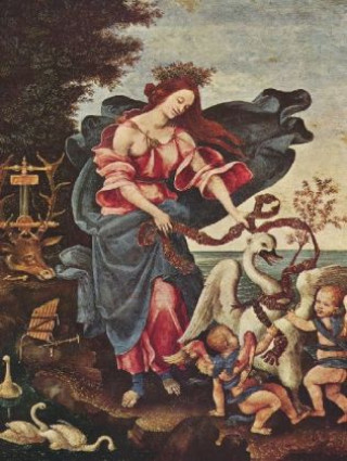 Hra/Hračka Filippino Lippi - Allegorie der Musik - 1.000 Teile (Puzzle) 