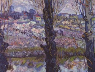 Joc / Jucărie Vincent Willem van Gogh - Blick auf Arles - 1.000 Teile (Puzzle) 