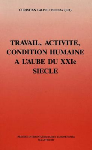 Kniha Travail, Activite Et Condition Christian Lalive D'Epinay