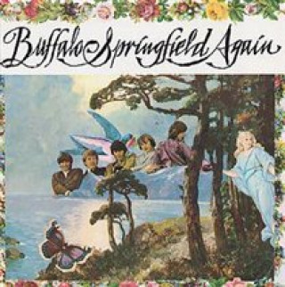Audio Buffalo Springfield Again Buffalo Springfield