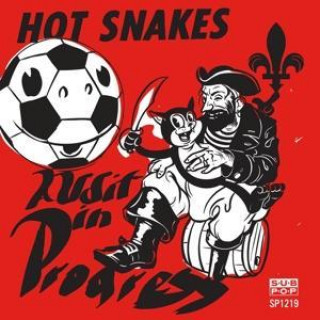 Audio Audit in Progress Hot Snakes