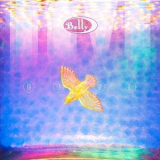 Audio Dove Belly