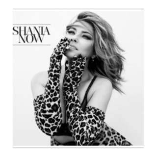 Аудио Now Shania Twain