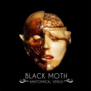 Audio Anatomical Venus Black Moth