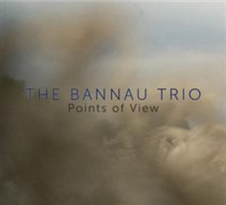 Audio  Points of View The Bannau Trio