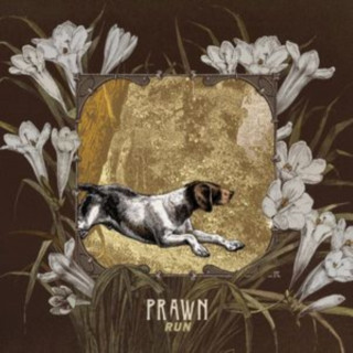 Zvok Run Prawn