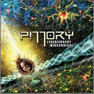 Zvok Evolutionary Miscarriage Pillory