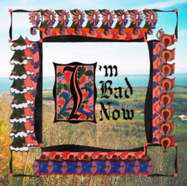 Audio I'm Bad Now Nap Eyes