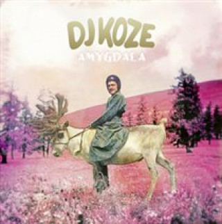 Zvok Amygdala DJ Koze