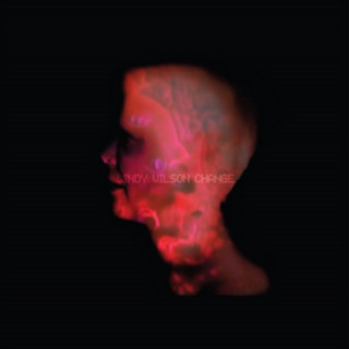 Audio Change Cindy Wilson