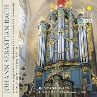 Аудио Johann Sebastian Bach: Fantasia and Fugue/Trio Sonata/Sinfonia Ben van Oosten