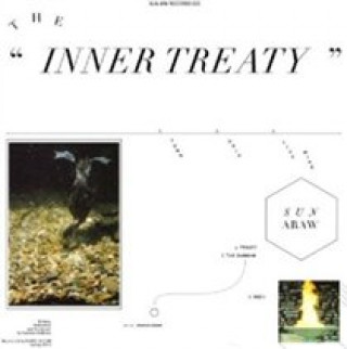 Audio The Inner Treaty Sun Araw