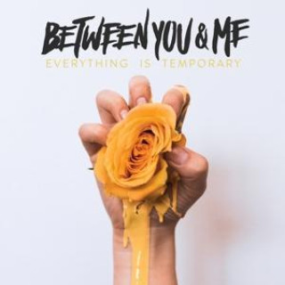 Audio Everything Is Temporary Between You & Me