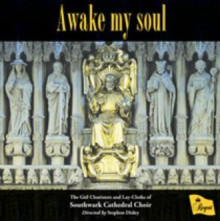 Audio Awake My Soul 