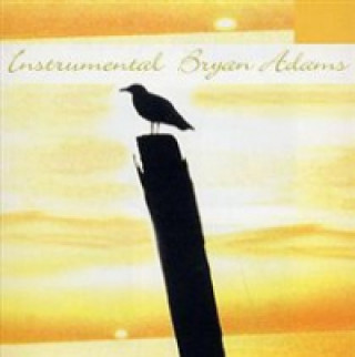 Audio Instrumental - Bryan Adams Various Artists